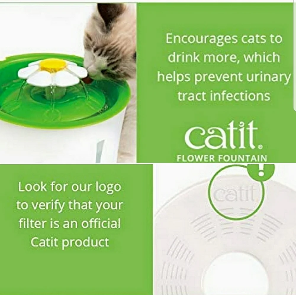 Catit about this