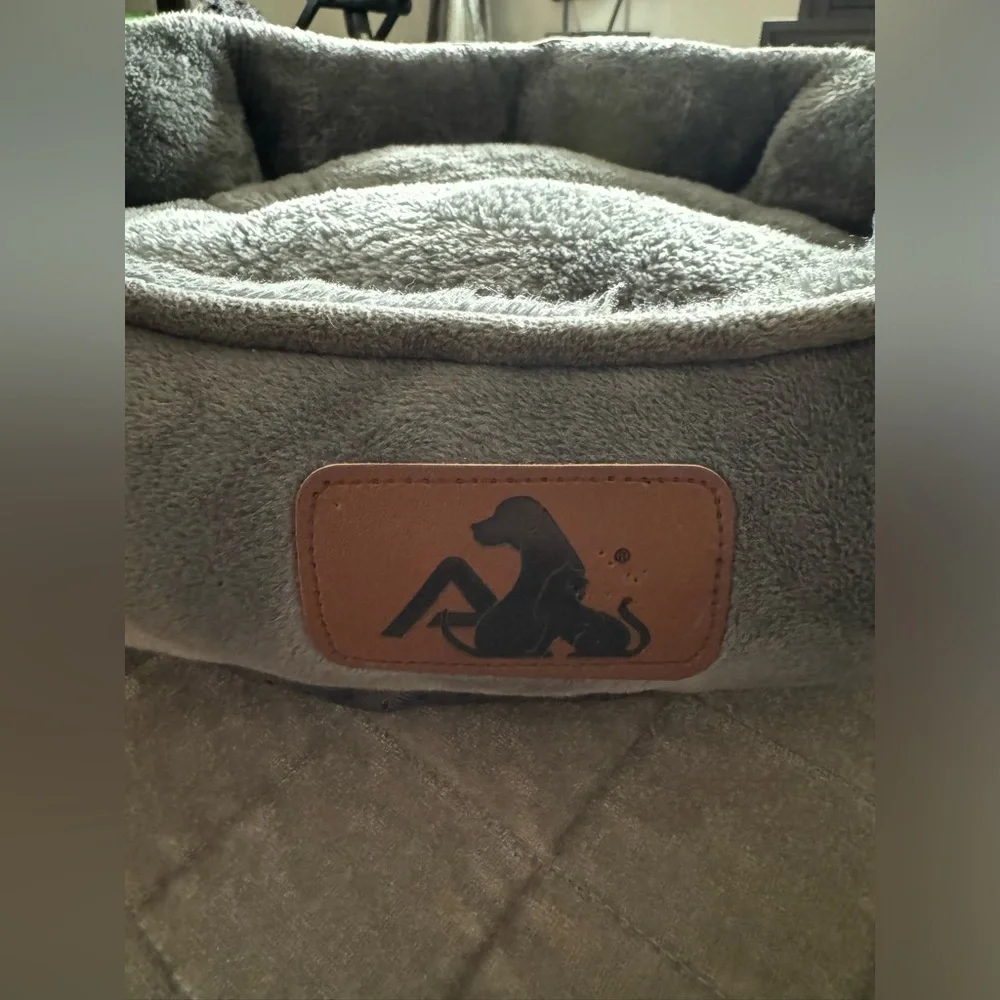 Asvin small dog