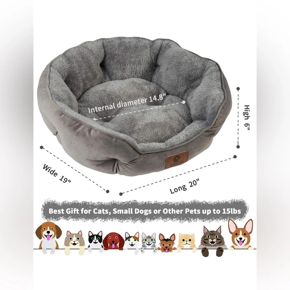 Asvin small dog