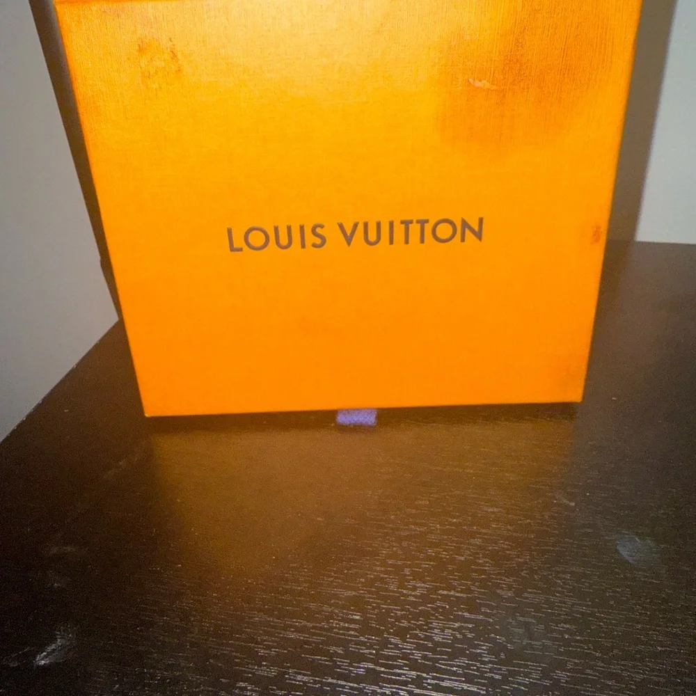 Louis Vuitton stylish blue