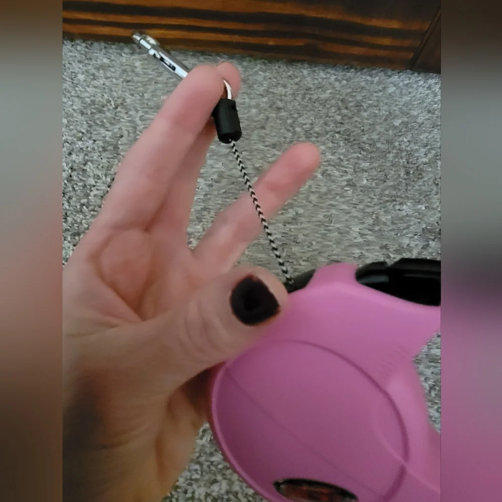 Flexi pink leash
