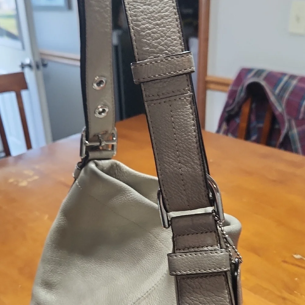 Coach ink bag
