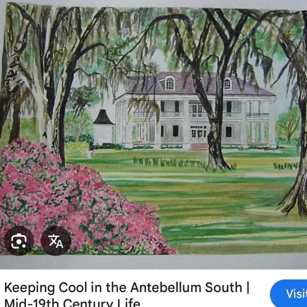 Vintage PLANTation style wallpaper./Mural.  GONE WITH THE WIND. REMINISCENT