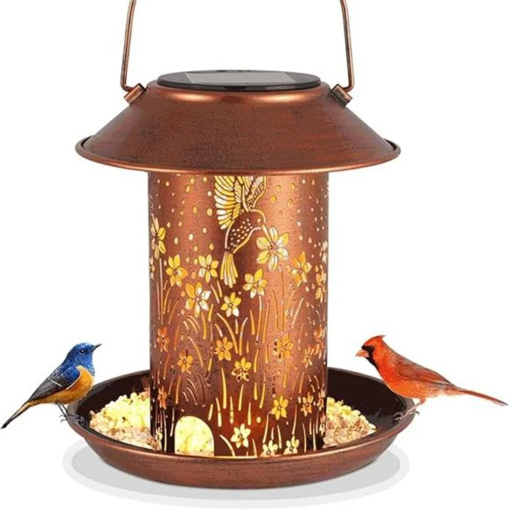 N/A 🧿【solar bird