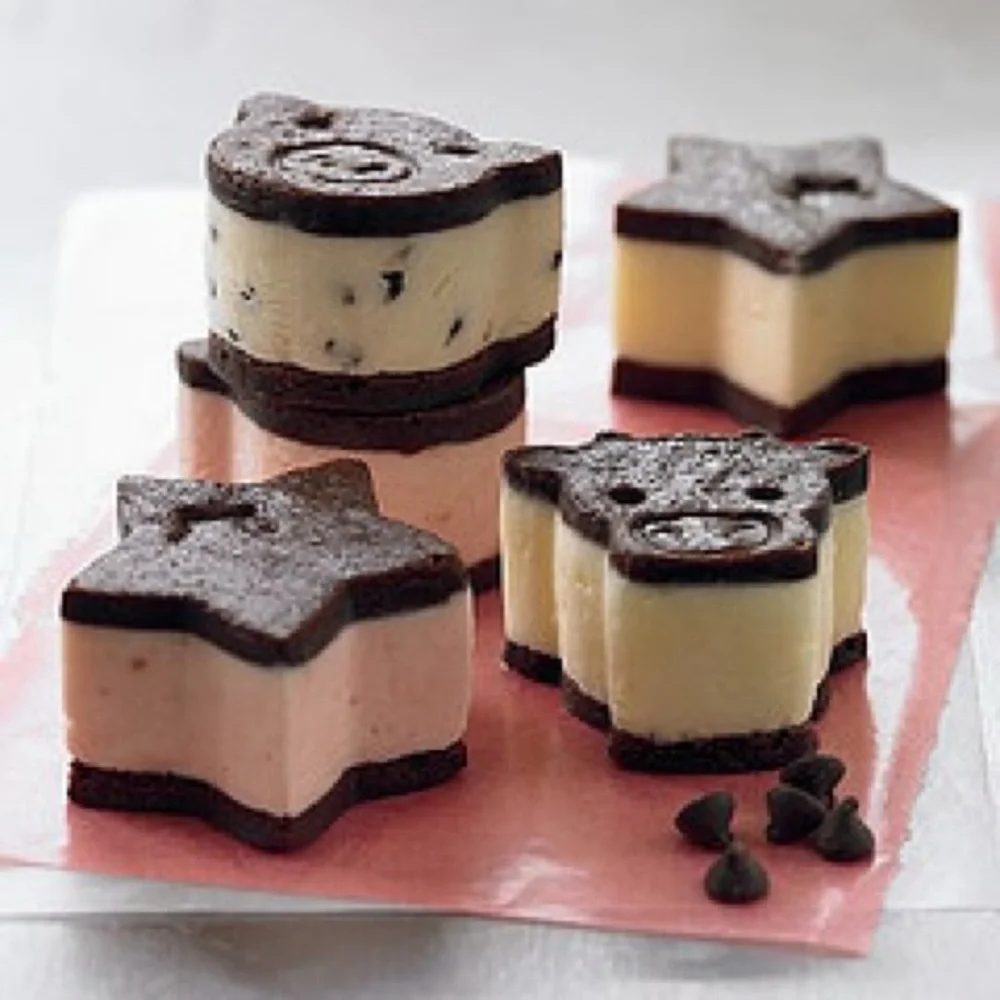 Williams Sonoma delightful ice