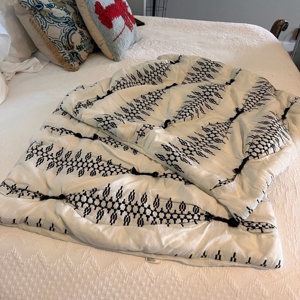 Anthropologie Embroidered Lilou Euro Shams (2) Cream and Black Design​​​​​​​​​