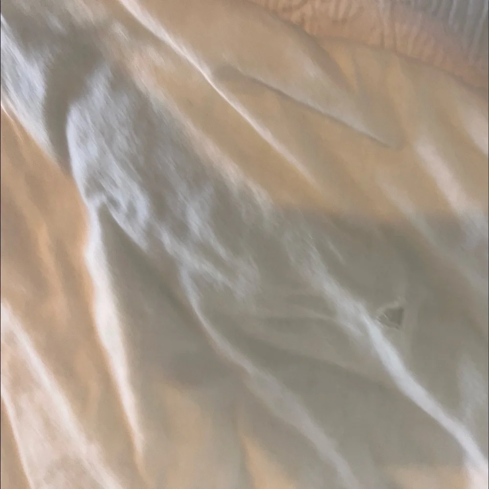 Anthropologie Embroidered Lilou Euro Shams (2) Cream and Black Design​​​​​​​​​