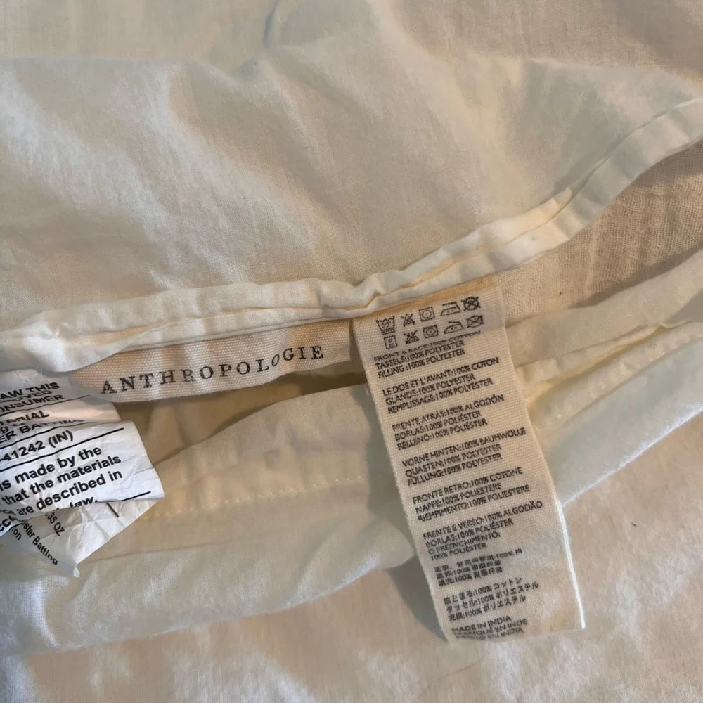 Anthropologie Embroidered Lilou Euro Shams (2) Cream and Black Design​​​​​​​​​