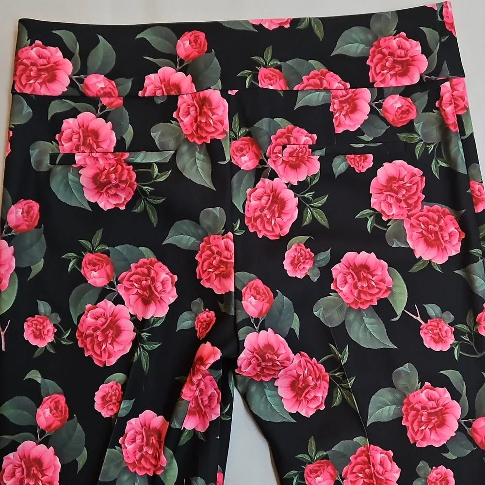 Alice + Olivia correct day