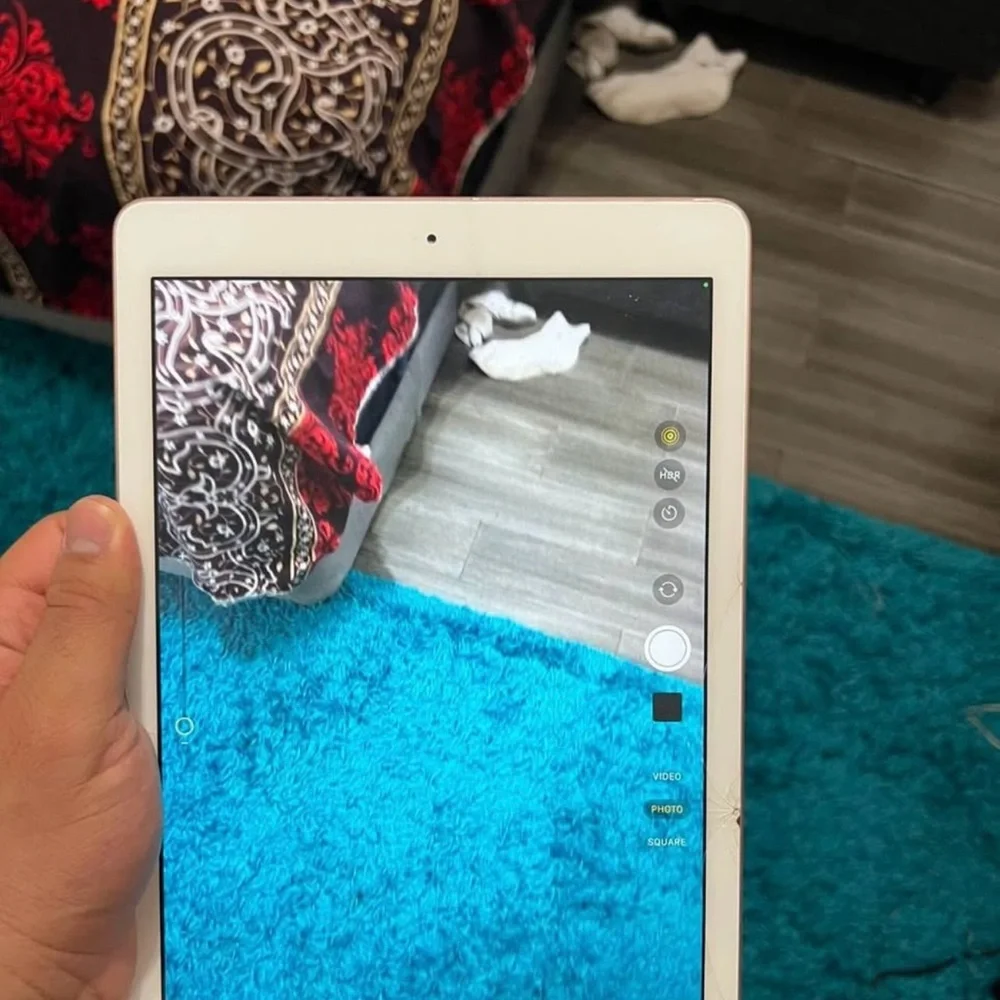 Apple discover elegance