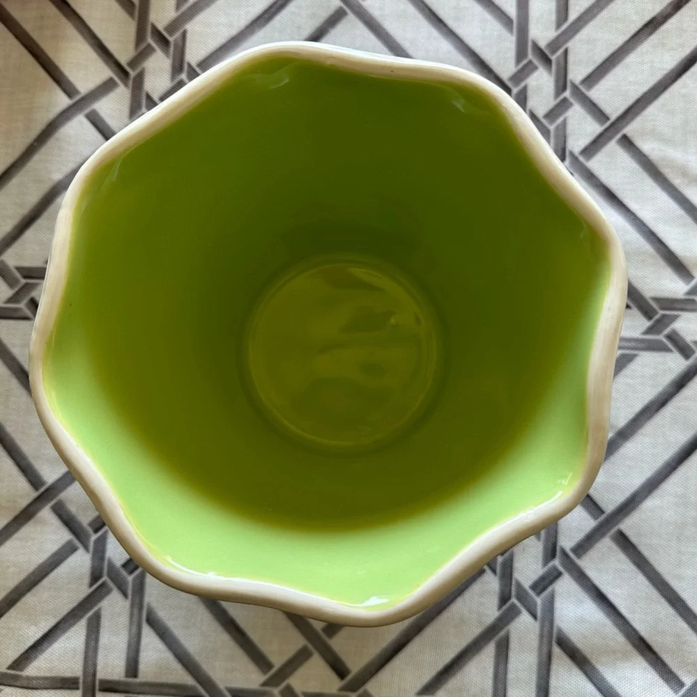 Crate&Barrel plants beautiful 6”