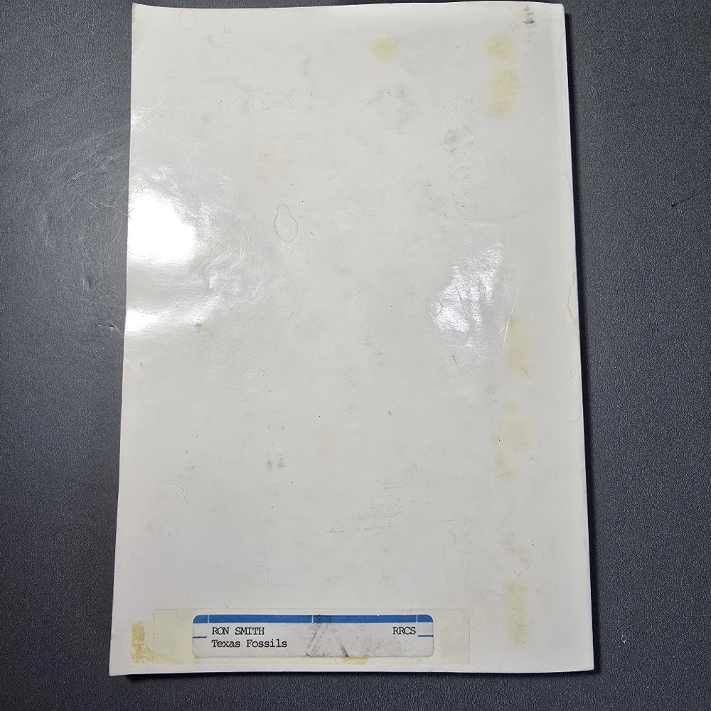 Texas Fossils amateur Collectors Handbook Guidebook 2 by William Matthews