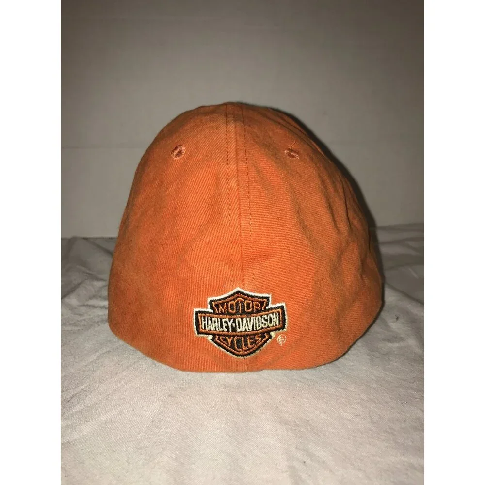 Harley-Davidson/VF Imagewear Inc. this vintage