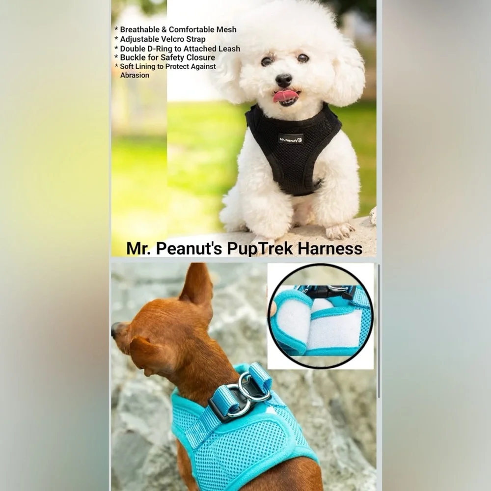 mr. peanuts xs pink
