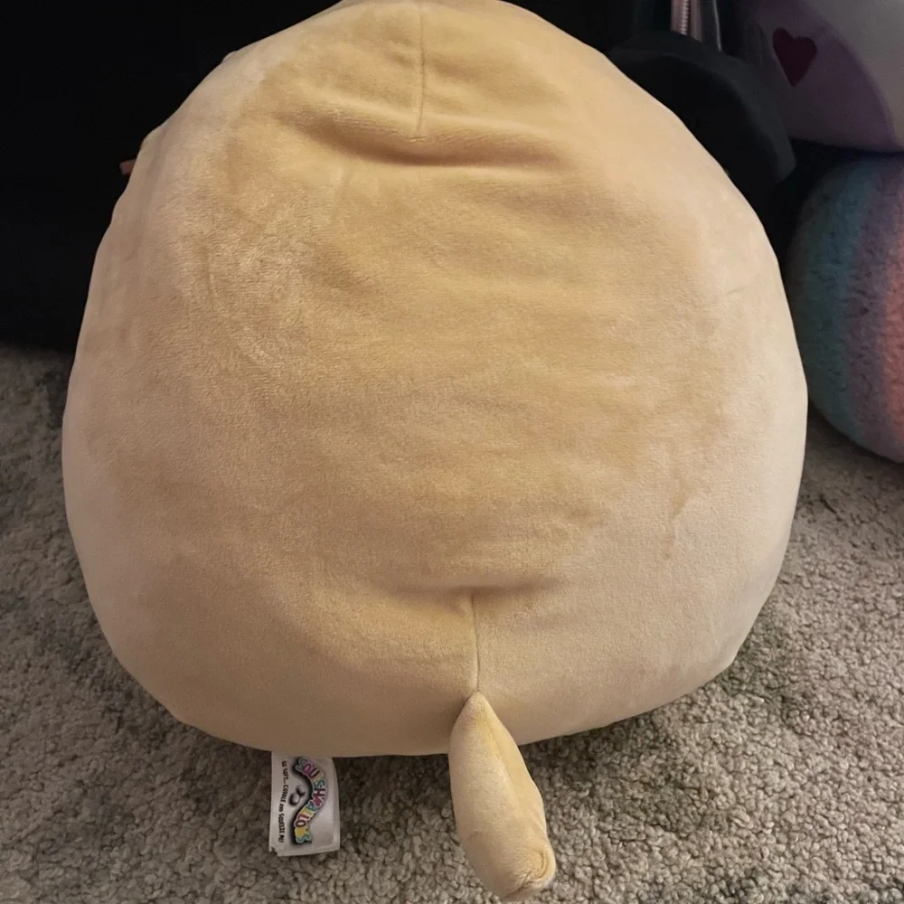 Squishmallows Pug Plush - Tan and Black