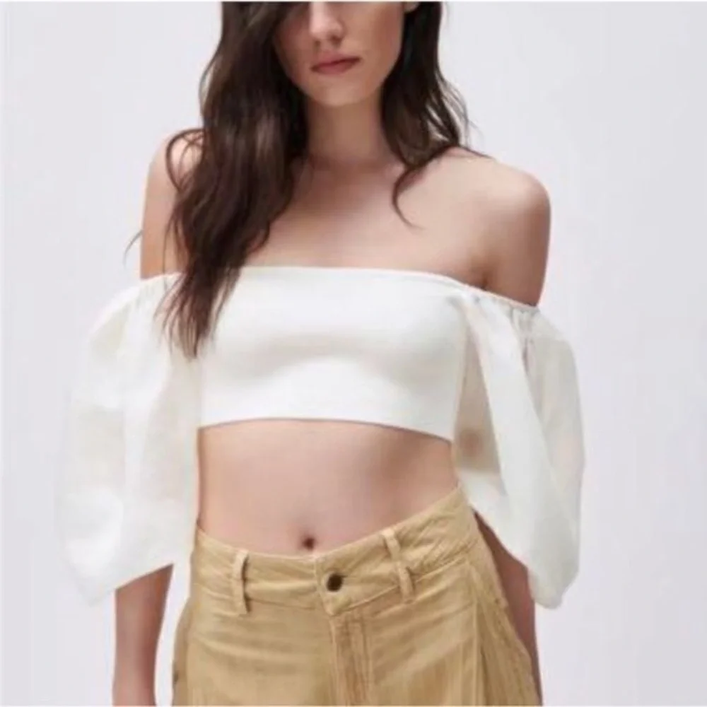 Zara Organza Sleeve Puff Blouse