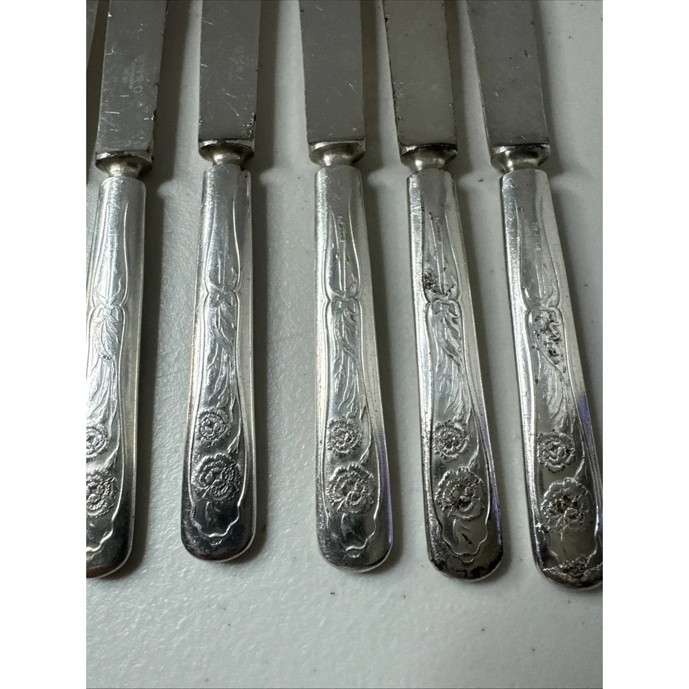 Oneida Silver Carnation Fruit Knife Silverplate Flaws