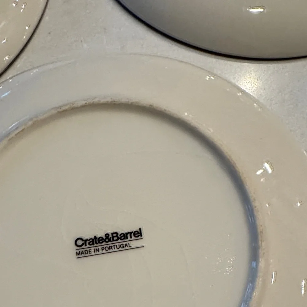Crate&Barrel Botanical Dinnerware Set - Cream and Green 1 plate has small chips