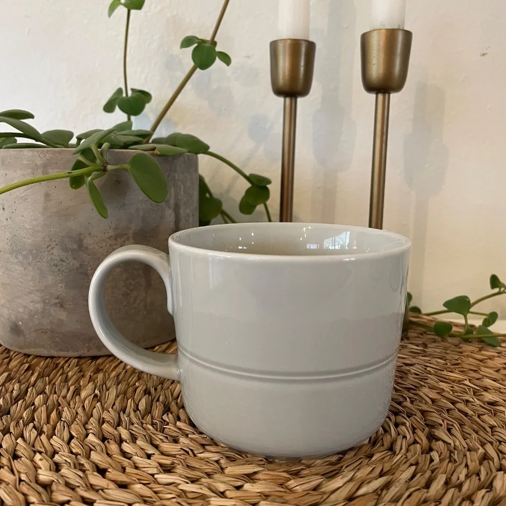 Crate & Barrel HUE Light Gray Mug by Aaron Probyn Grey Coffee Cup Indonesia