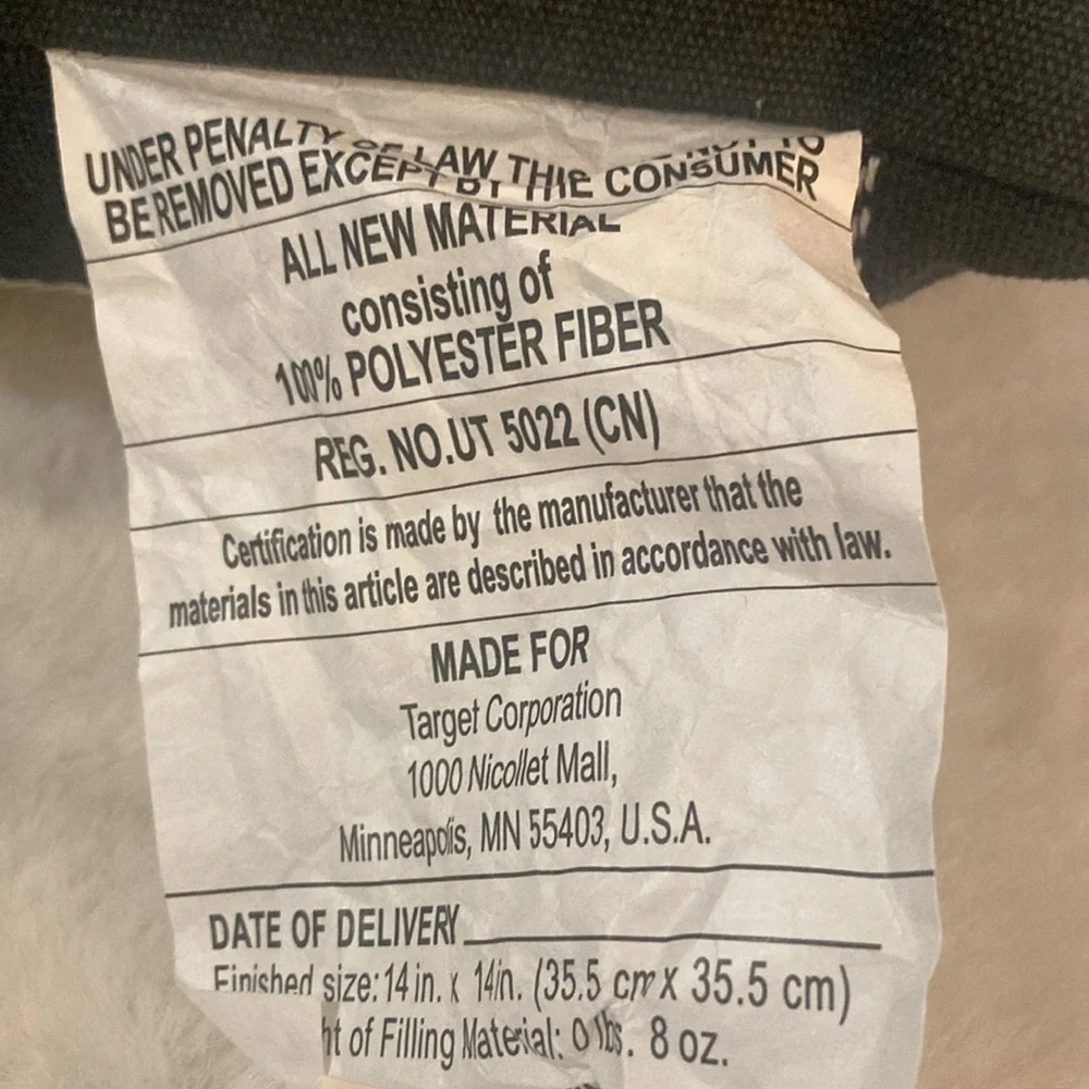 Target BP 2021 Christmas Cabin Rules Pillow