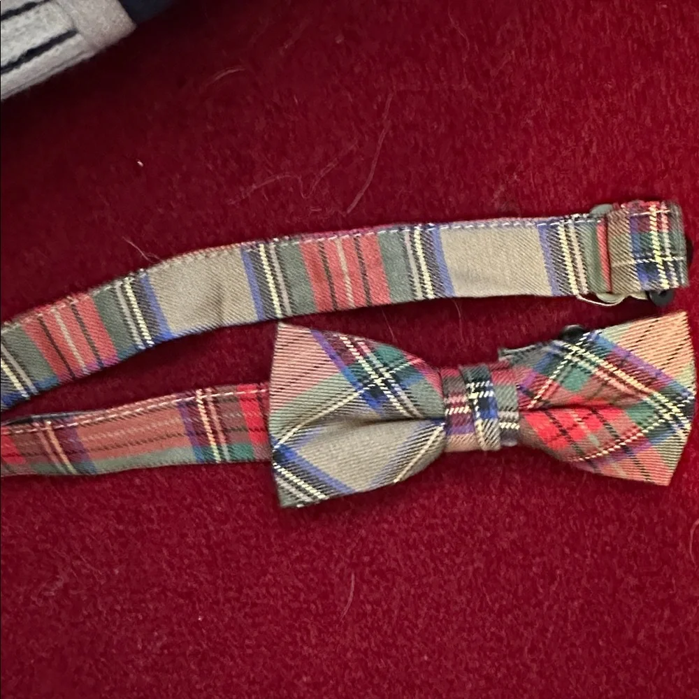Crewcuts Multicolor Plaid Bow Tie