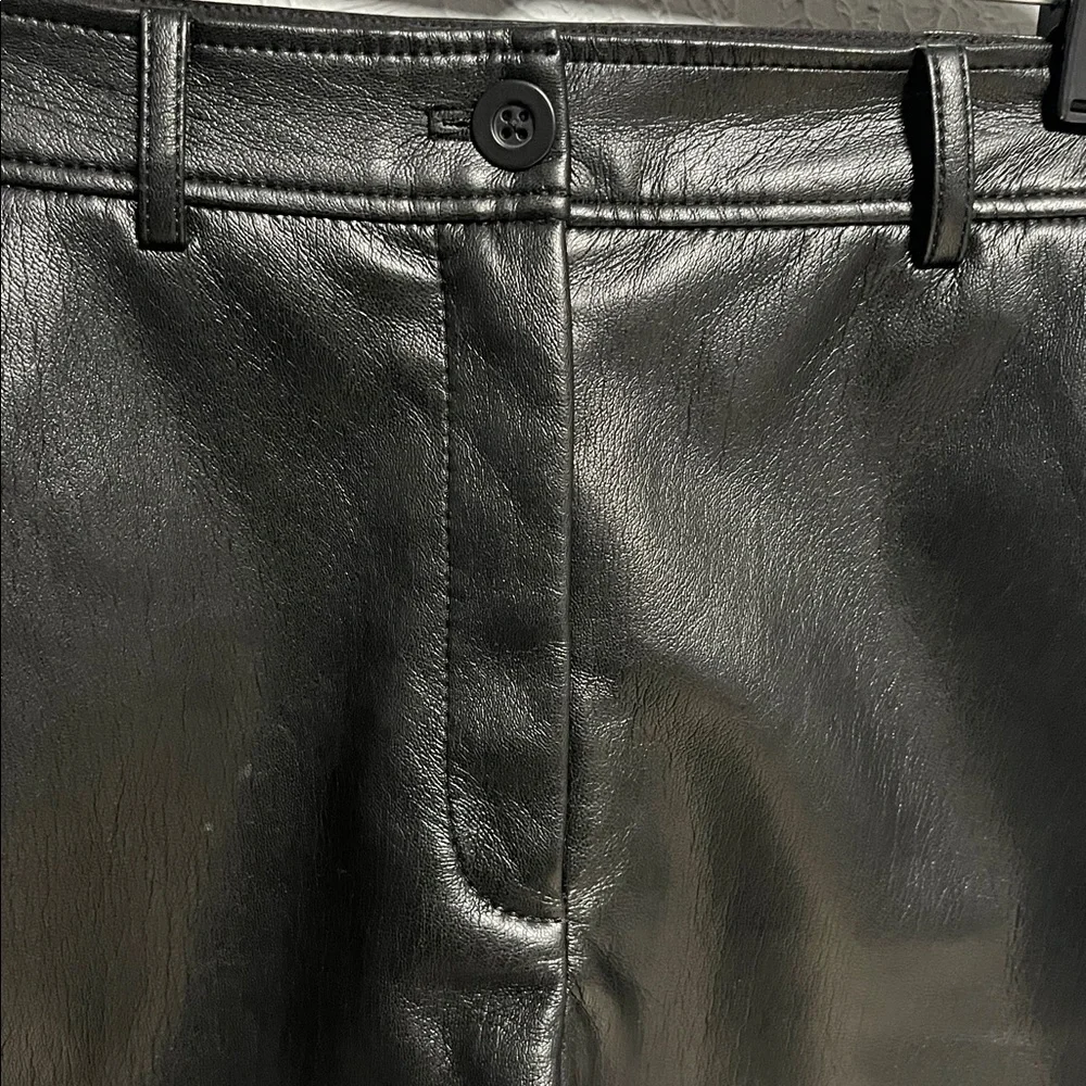 Babaton sleek leather