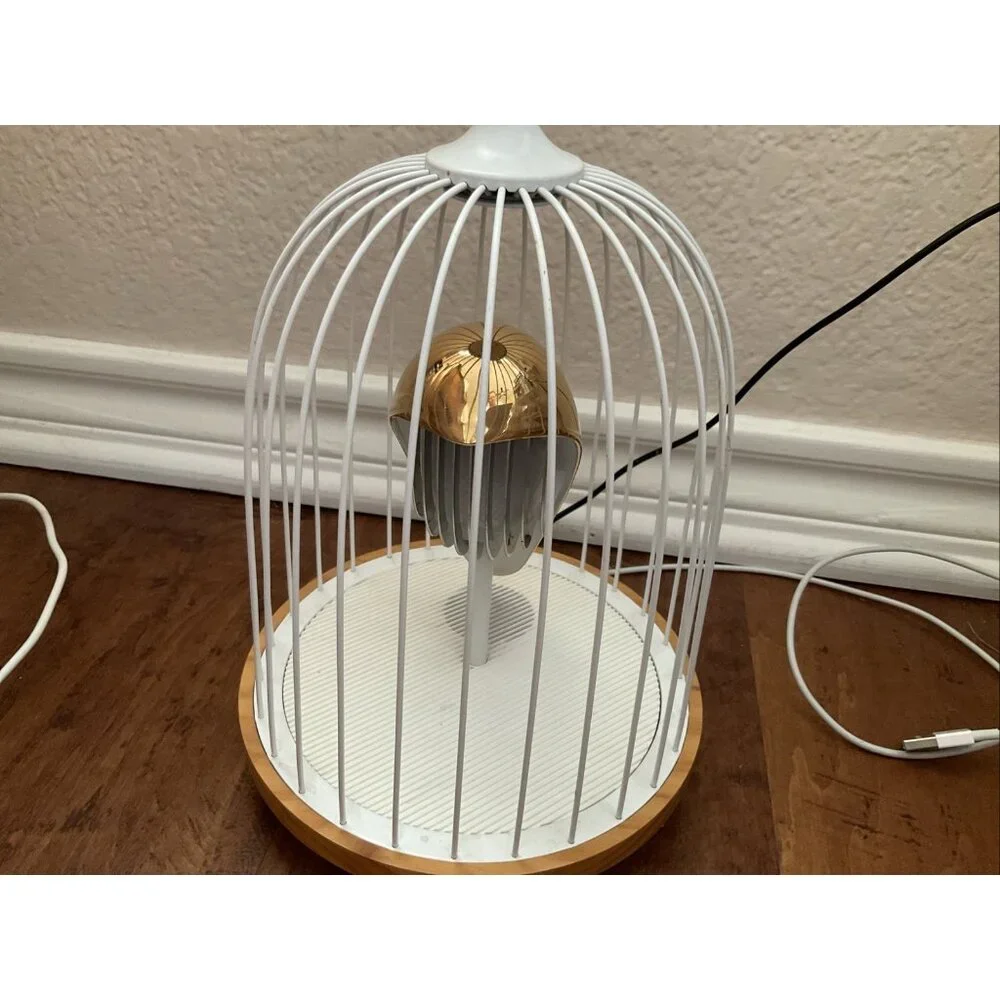 Daqi Concepts shaped paired light