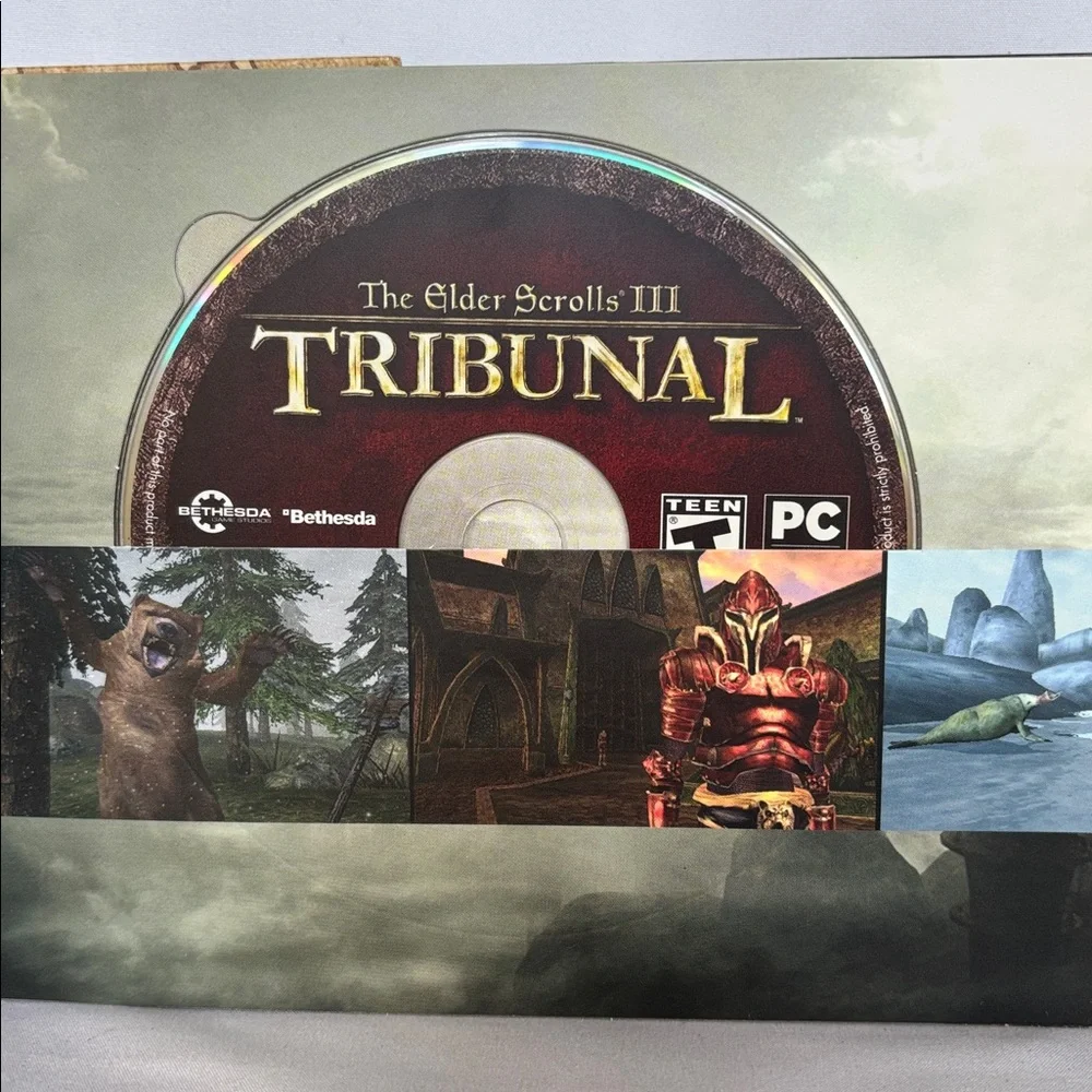 Bethesda elder scrolls