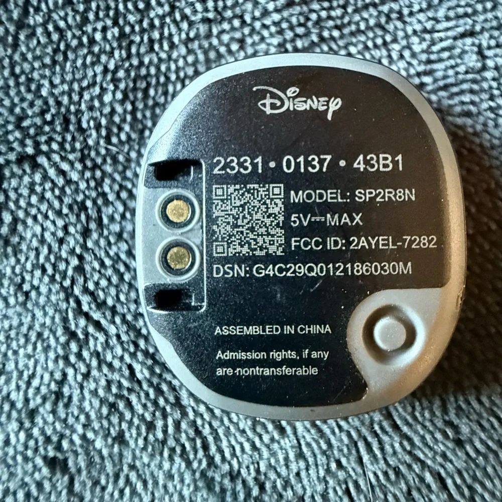 Disney perfect family
