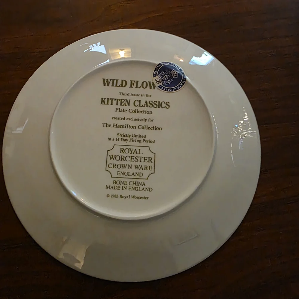 Royal Worcester charming plate