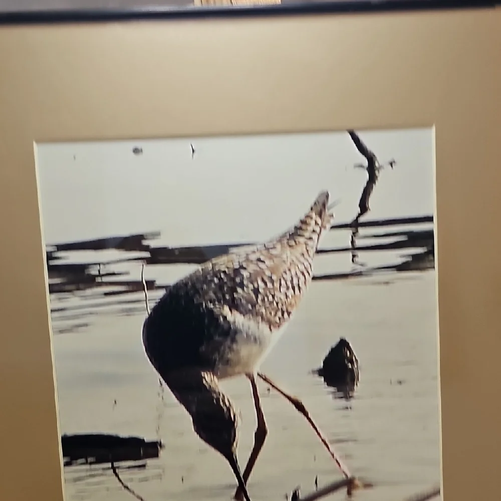 N/A unknown due item