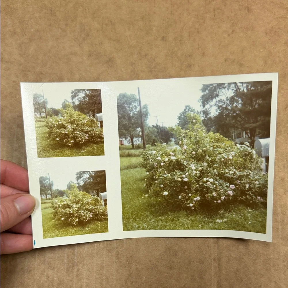 Vintage Photo Collection