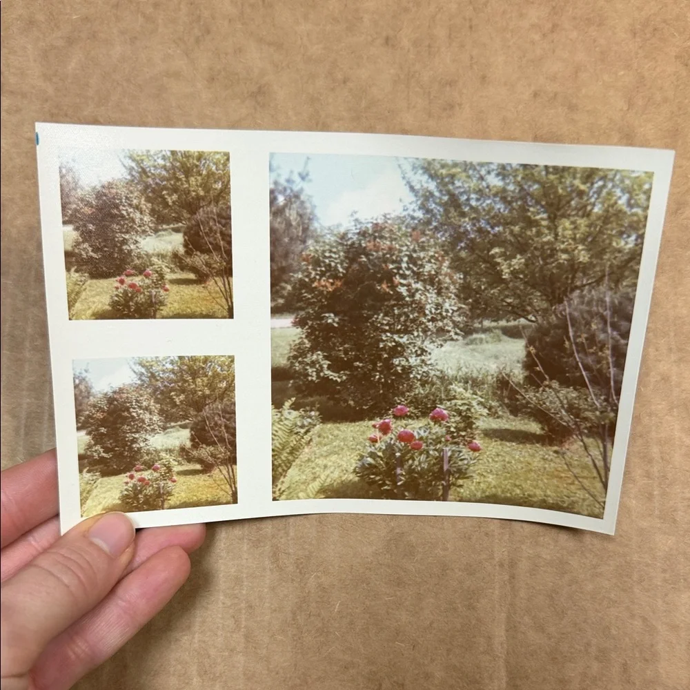 Vintage Photo Collection