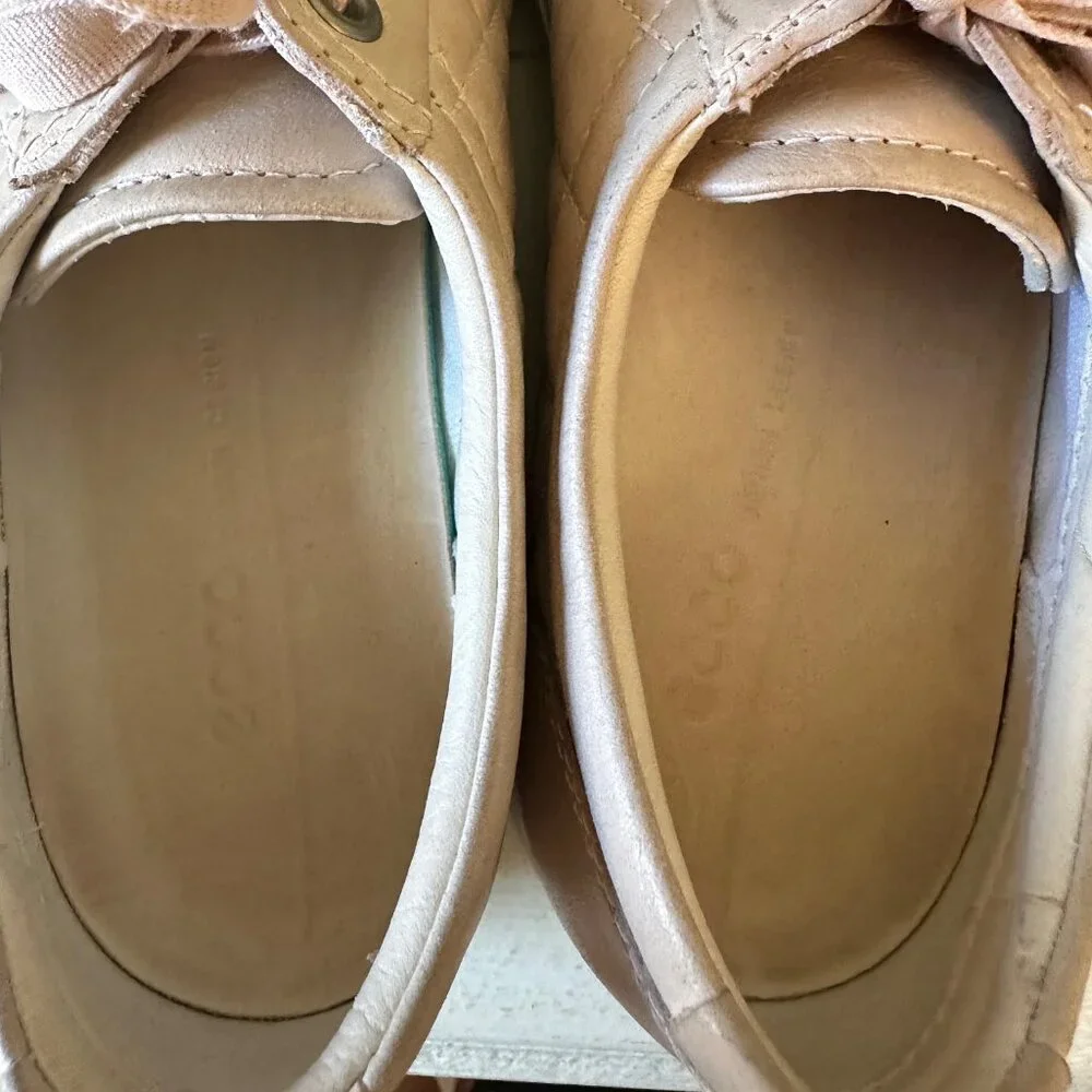 Ecco rise price pre