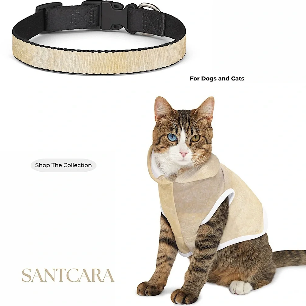 Fil De Seda Sweater and Collar