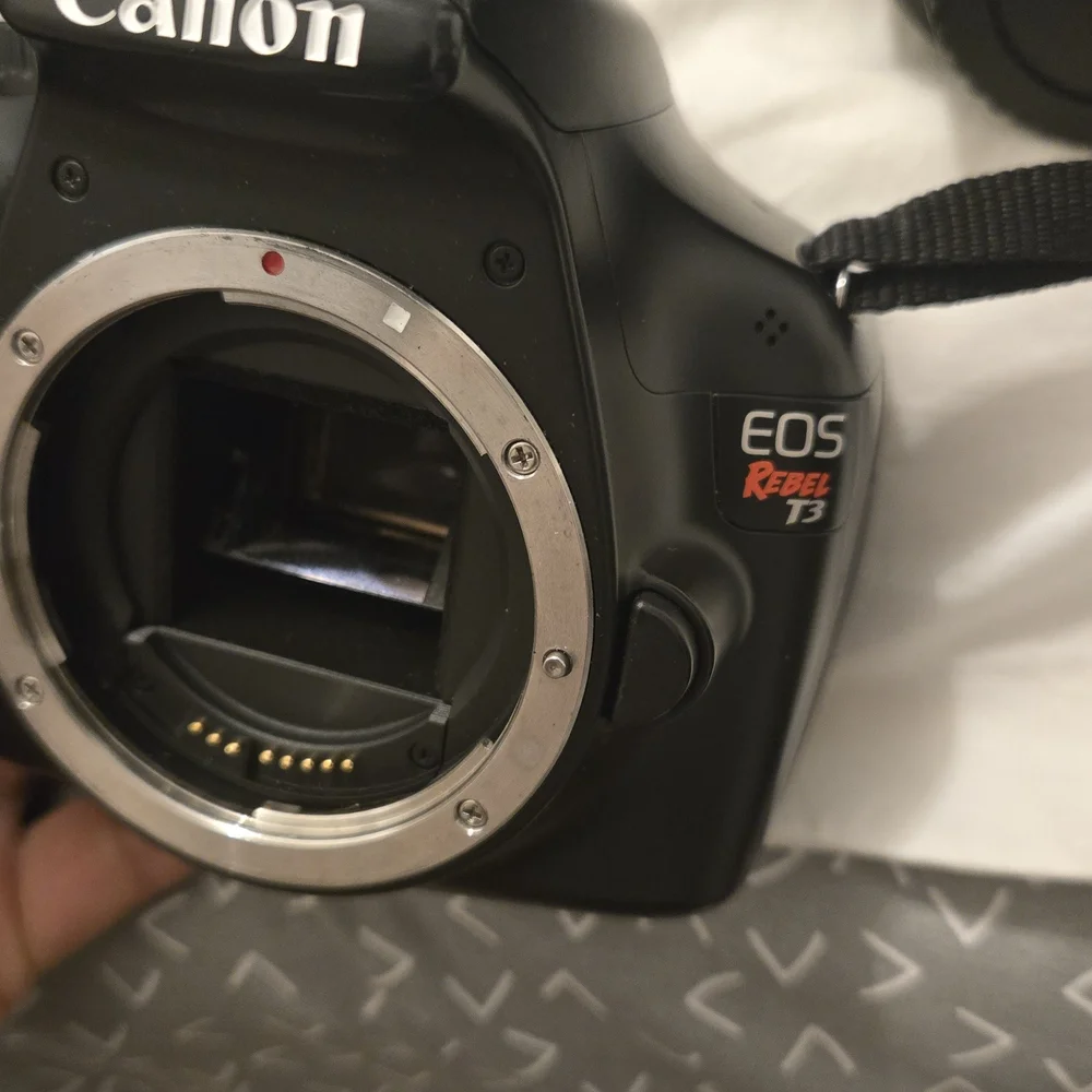 Canon dslr intuitive