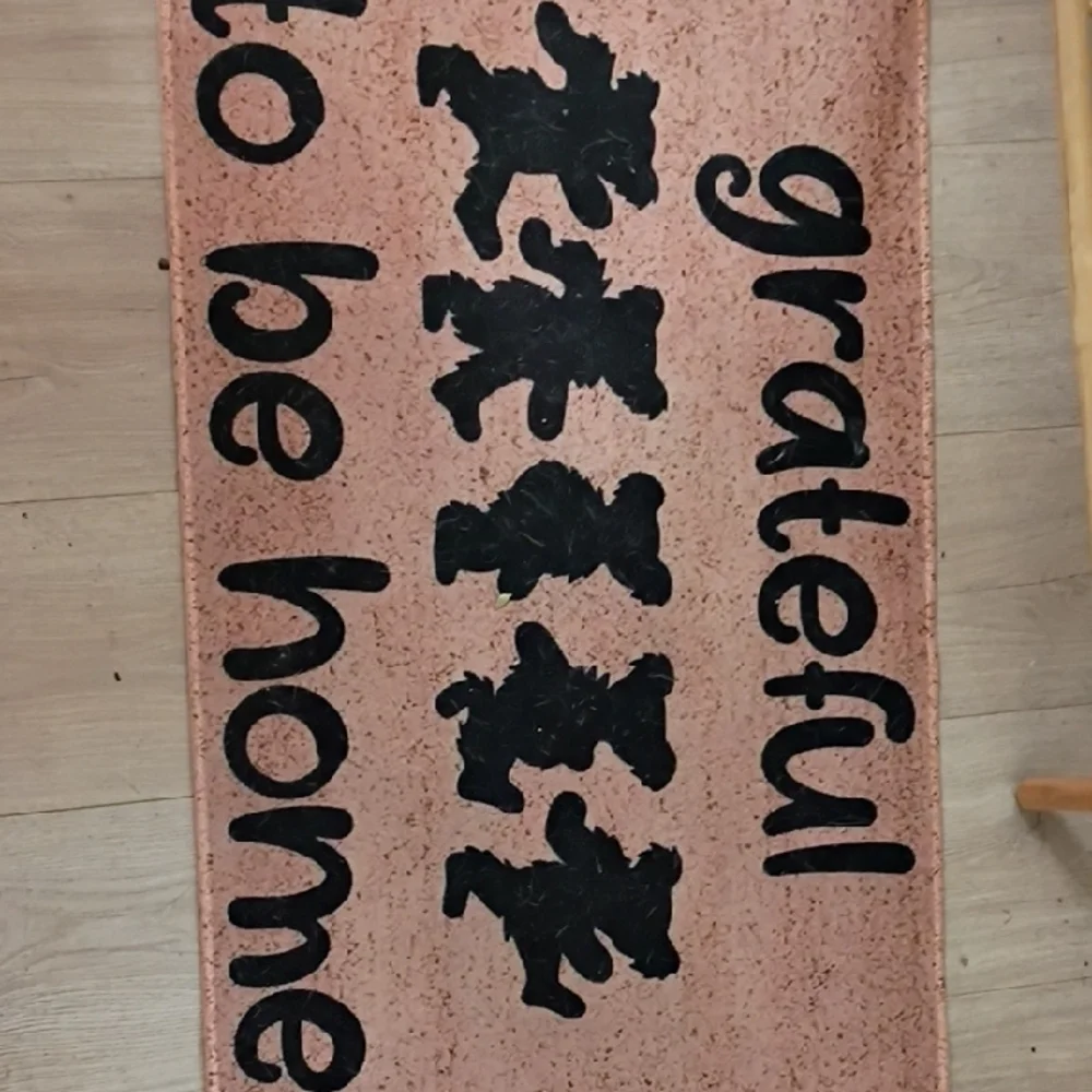 None welcome guests