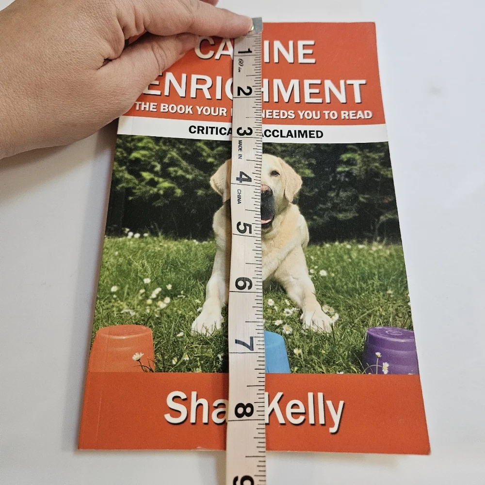 Shay Kelly shay kelly