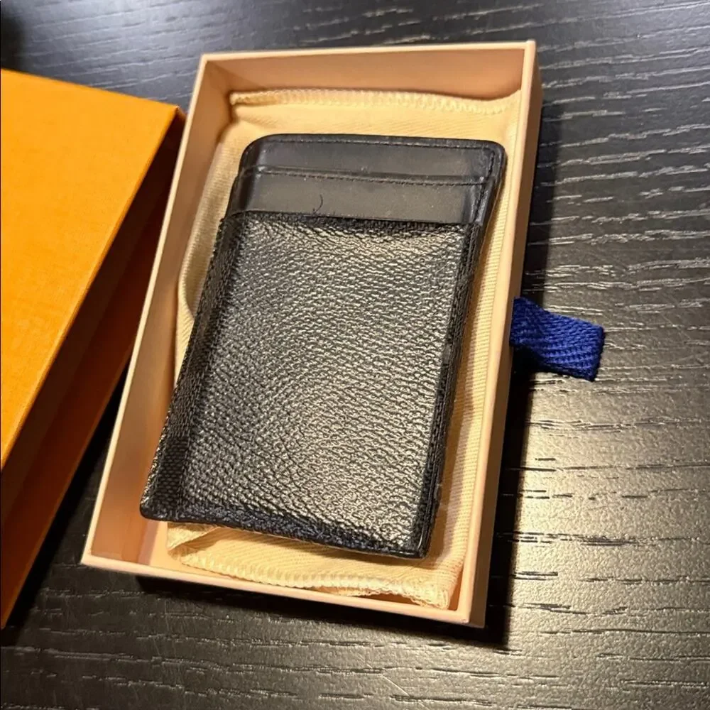 Louis Vuitton sleek stylish