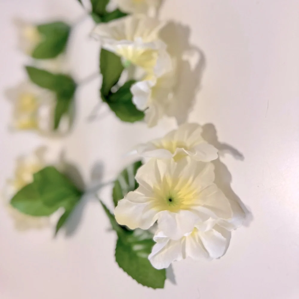 Shabby Chic never white