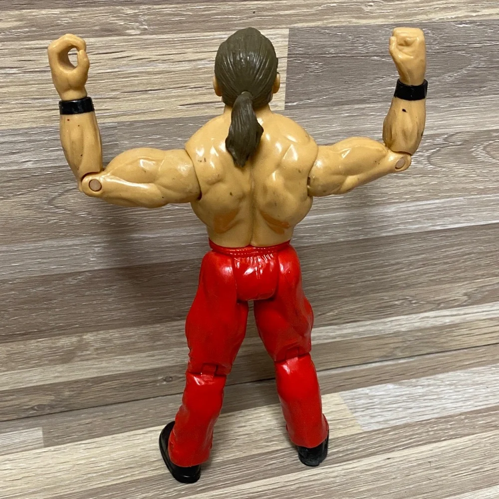WWE live michaels