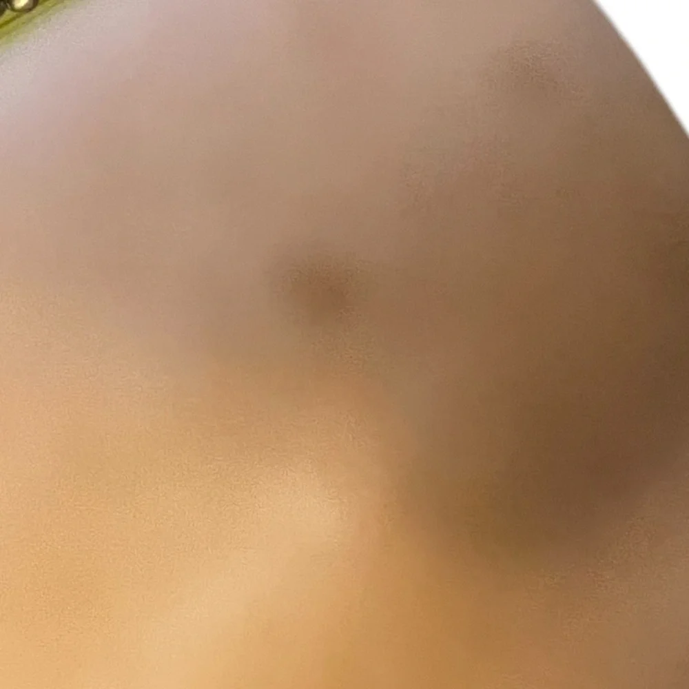 Vintage Handcrafted Custom Made Char Of Mexico Women's‎ Leather Suede Jacket XS