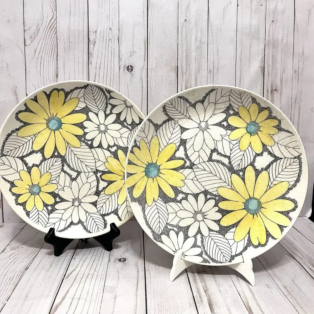Vintage MCM Boho Nikko Splendor Daisy Plates Kingstone Japan Cottagecore (2)