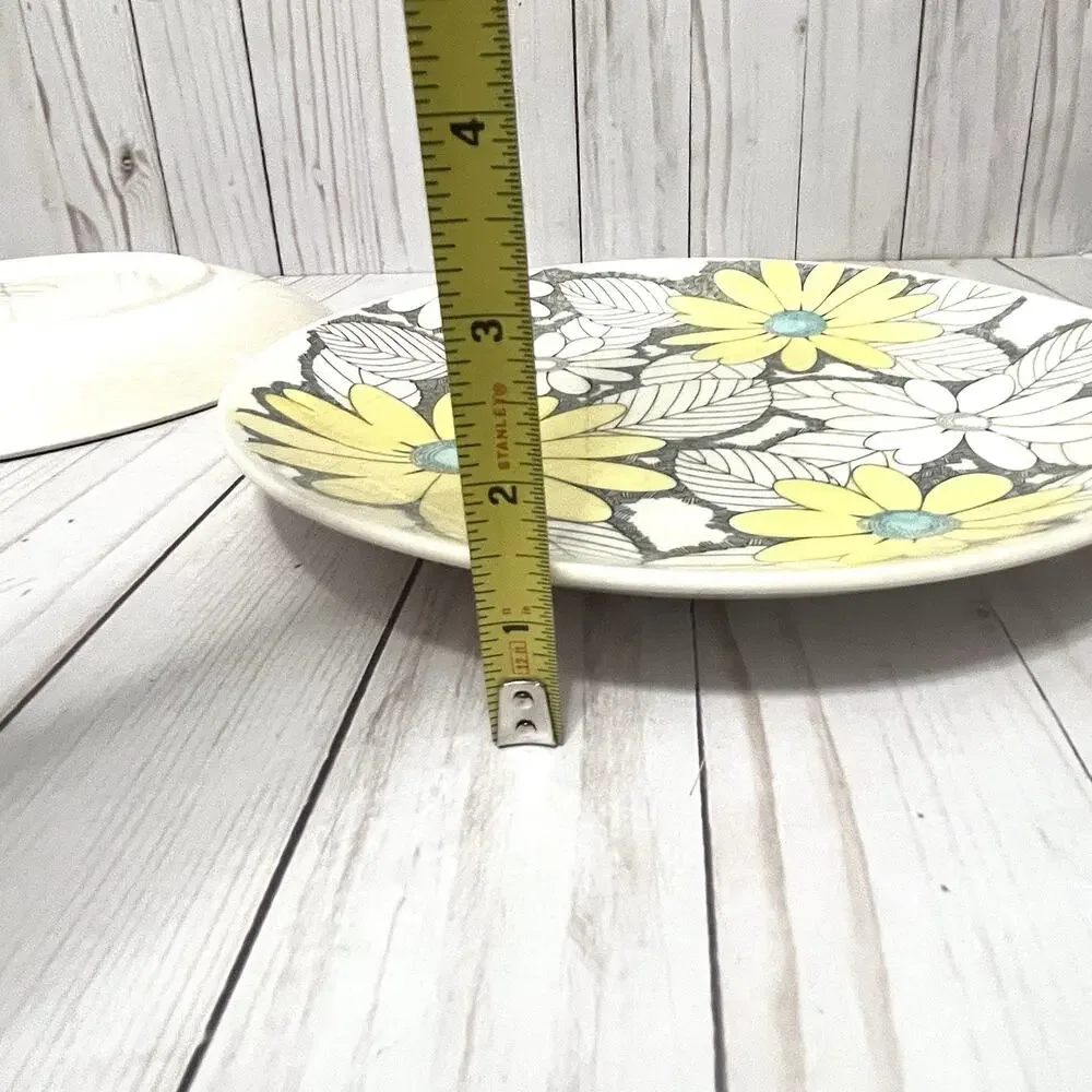 Vintage MCM Boho Nikko Splendor Daisy Plates Kingstone Japan Cottagecore (2)