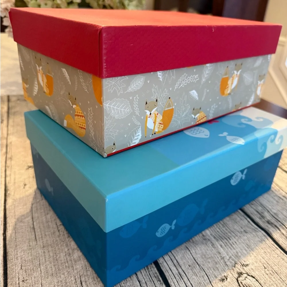 Set of 2 decorative storage boxes. Super cute!