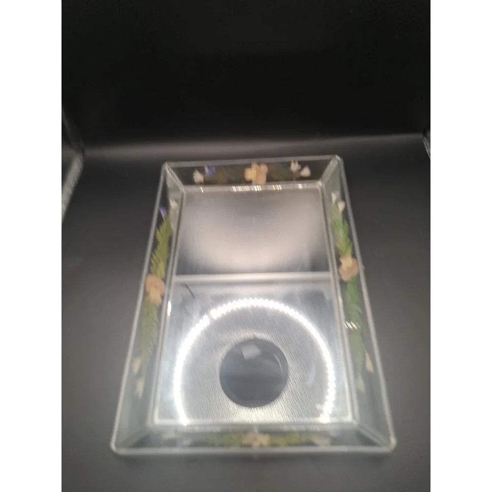 N/A chips mirror