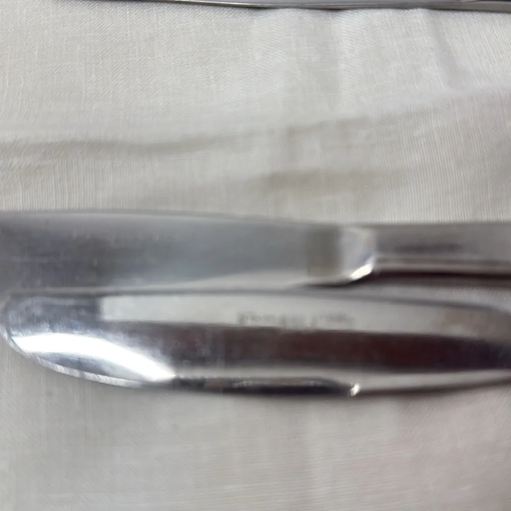 Summer Breeze Floral Pattern Sears & Roebuck Stainless Steel Flatware 8 Pc Japan