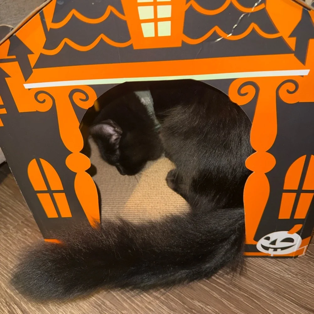 Orange spooky haunted house Cat Scratcher