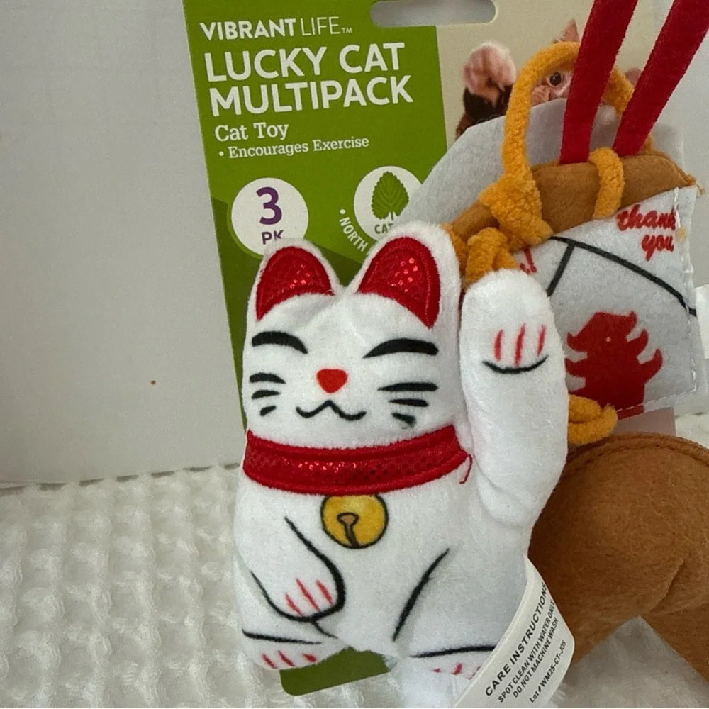 Vibrant charming cat