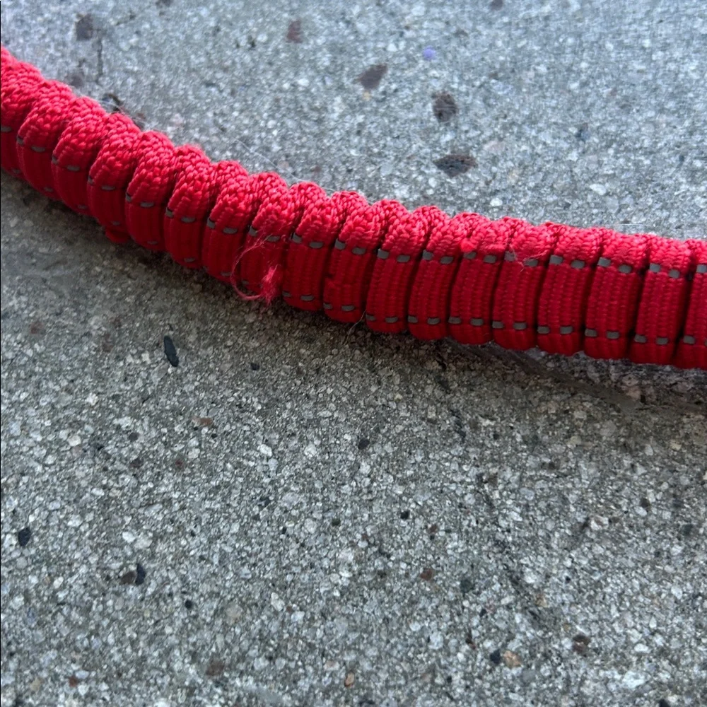 Red Cat Pet Harness and Leash Set